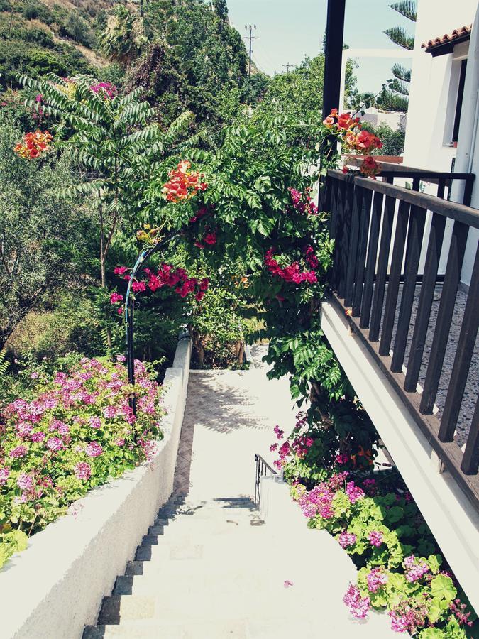 Oliaria Apartments Platanias  Bagian luar foto