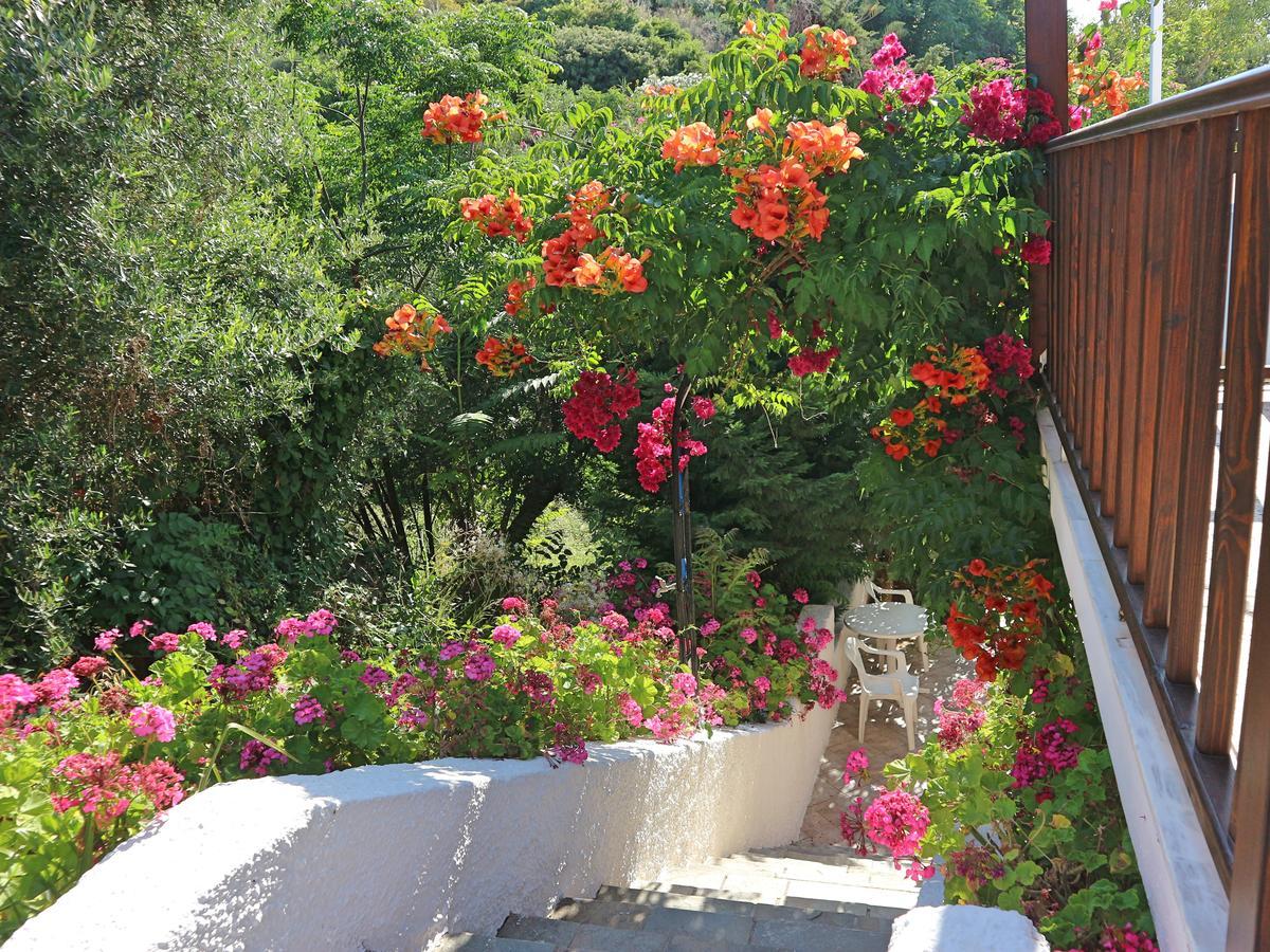 Oliaria Apartments Platanias  Bagian luar foto