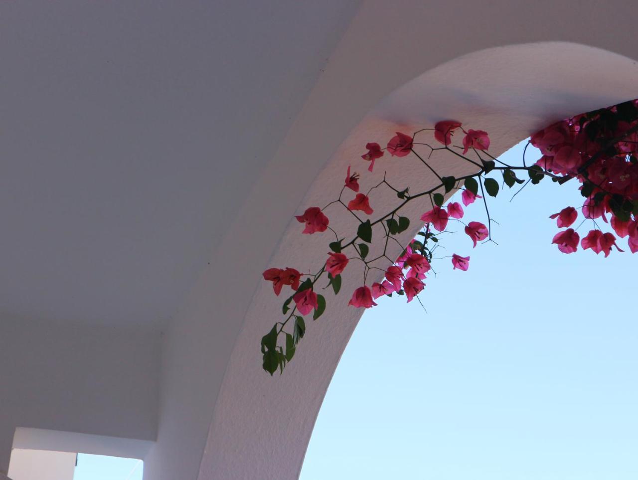 Oliaria Apartments Platanias  Bagian luar foto